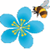 Bumblebee Conservation Trust